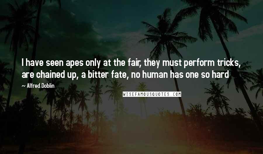 Alfred Doblin quotes: I have seen apes only at the fair, they must perform tricks, are chained up, a bitter fate, no human has one so hard