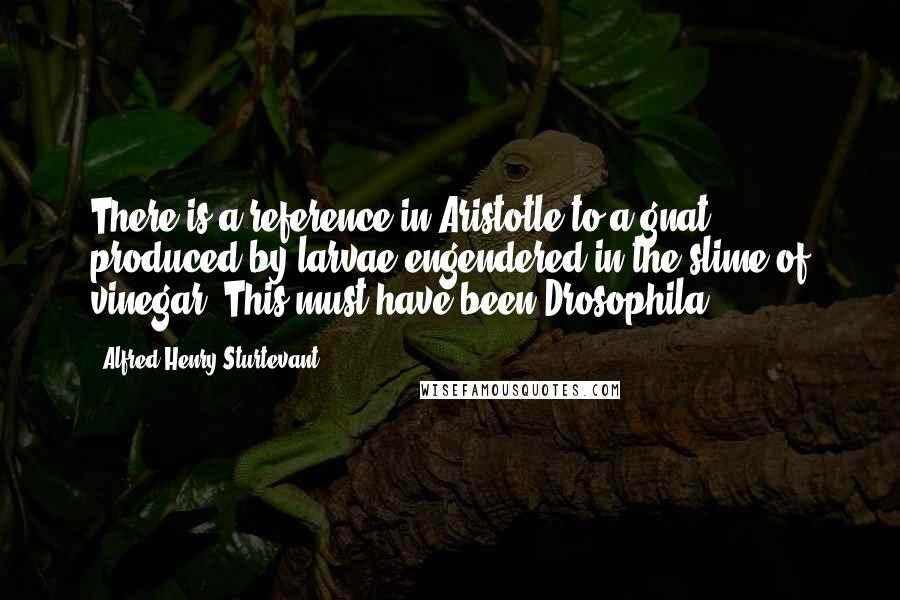 Alfred Henry Sturtevant quotes: There is a reference in Aristotle to a gnat produced by larvae engendered in the slime of vinegar. This must have been Drosophila.
