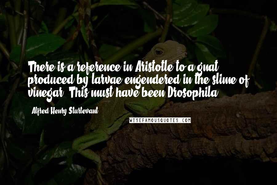 Alfred Henry Sturtevant quotes: There is a reference in Aristotle to a gnat produced by larvae engendered in the slime of vinegar. This must have been Drosophila. Alfred Henry Sturtevant quotes: There is a reference in Aristotle to a gnat produced by larvae engendered in the slime of vinegar. This must have been Drosophila.