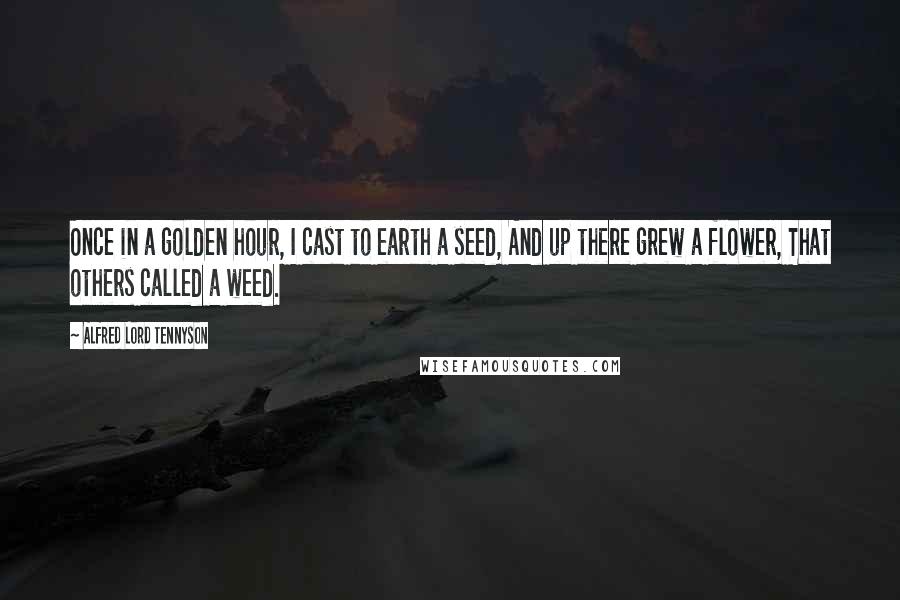 Alfred Lord Tennyson quotes: Once in a golden hour, I cast to earth a seed, And up there grew a flower, That others called a weed. Alfred Lord Tennyson quotes: Once in a golden hour, I cast to earth a seed, And up there grew a flower, That others called a weed.