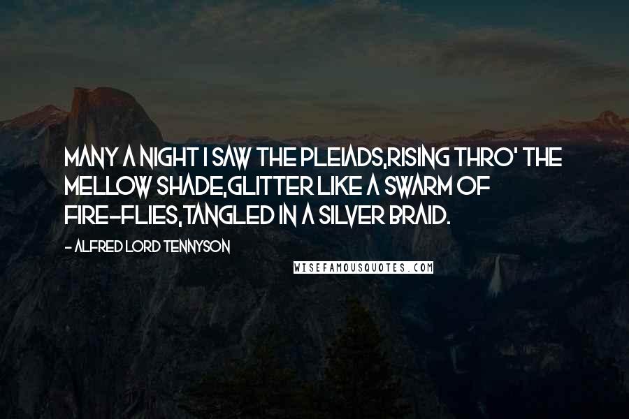 Alfred Lord Tennyson quotes: Many a night I saw the Pleiads,Rising thro' the mellow shade,Glitter like a swarm of fire-flies,Tangled in a silver braid. Alfred Lord Tennyson quotes: Many a night I saw the Pleiads,Rising thro' the mellow shade,Glitter like a swarm of fire-flies,Tangled in a silver braid.