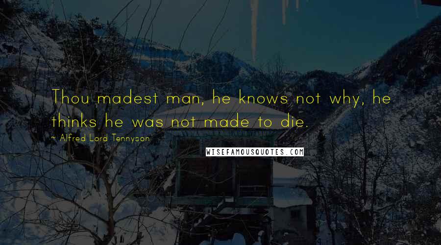 Alfred Lord Tennyson quotes: Thou madest man, he knows not why, he thinks he was not made to die. Alfred Lord Tennyson quotes: Thou madest man, he knows not why, he thinks he was not made to die.
