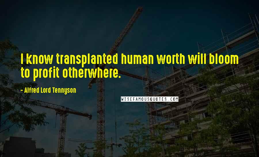 Alfred Lord Tennyson quotes: I know transplanted human worth will bloom to profit otherwhere. Alfred Lord Tennyson quotes: I know transplanted human worth will bloom to profit otherwhere.