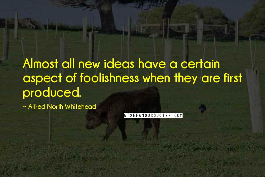 Alfred North Whitehead quotes: Almost all new ideas have a certain aspect of foolishness when they are first produced.