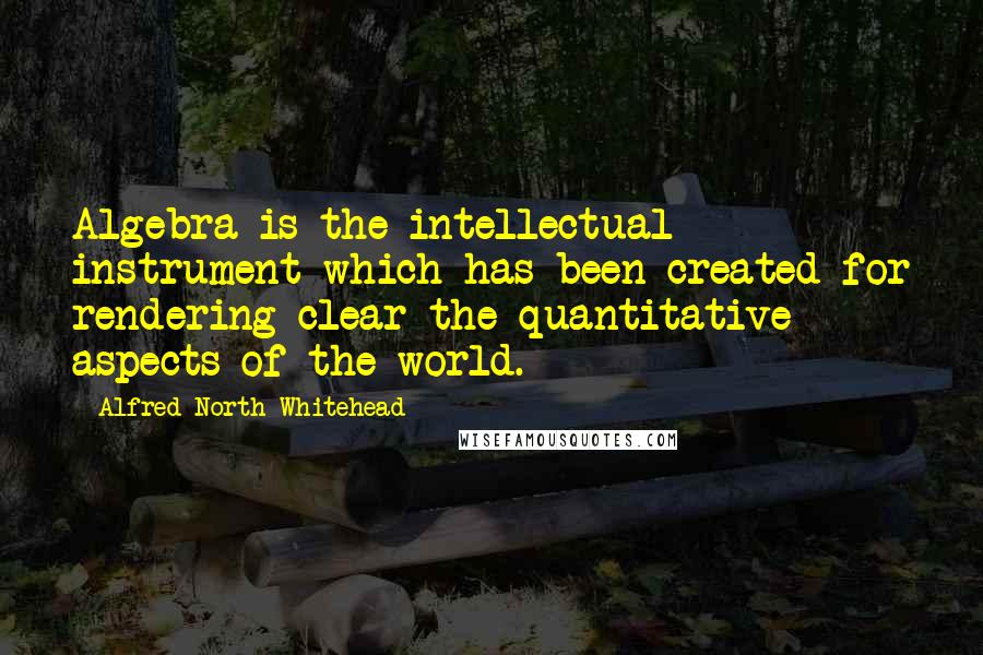 Alfred North Whitehead quotes: Algebra is the intellectual instrument which has been created for rendering clear the quantitative aspects of the world.