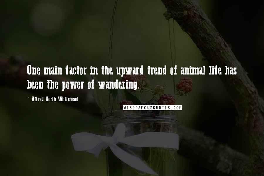 Alfred North Whitehead quotes: One main factor in the upward trend of animal life has been the power of wandering.