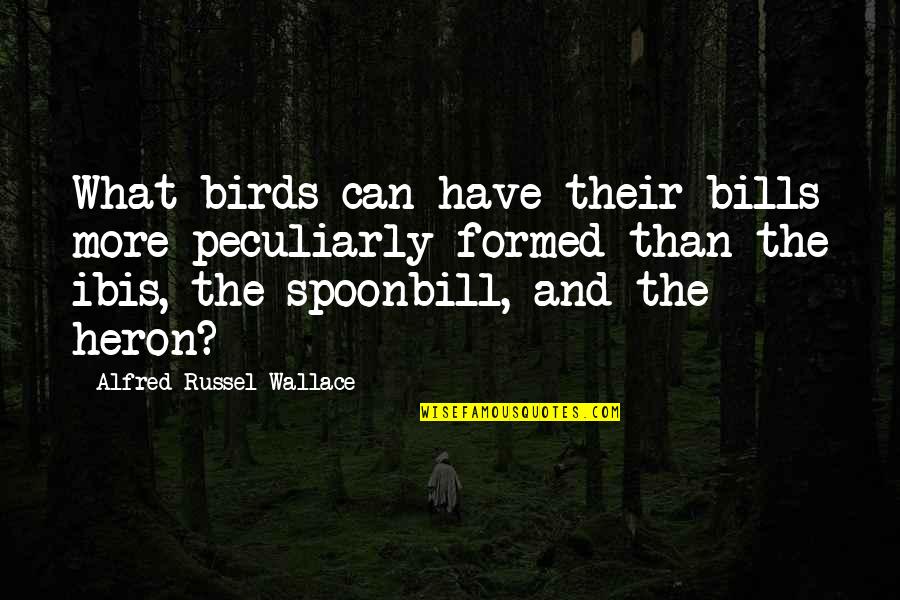 Alfred R Wallace Quotes By Alfred Russel Wallace: What birds can have their bills more peculiarly