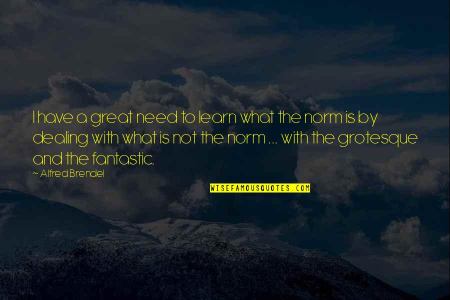 Alfred The Great Quotes By Alfred Brendel: I have a great need to learn what
