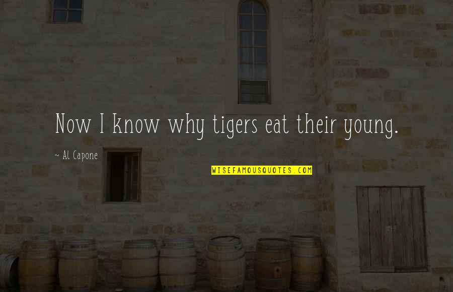 Alfred Victor Vigny Quotes By Al Capone: Now I know why tigers eat their young.