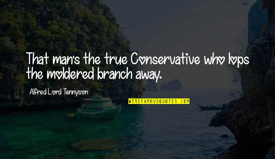 Alfred's Quotes By Alfred Lord Tennyson: That man's the true Conservative who lops the Alfred's Quotes By Alfred Lord Tennyson: That man's the true Conservative who lops the