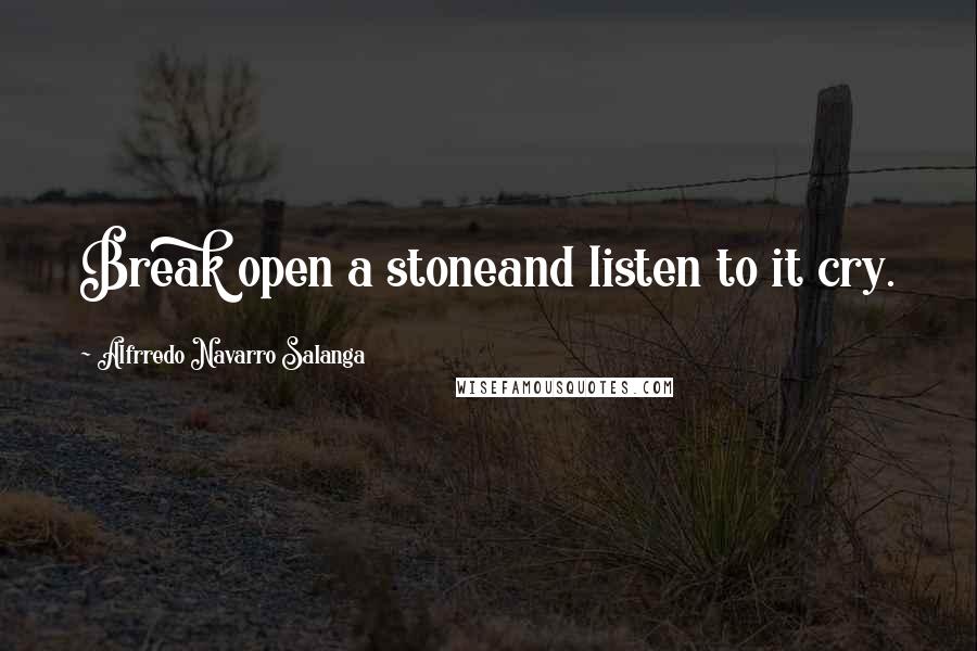 Alfrredo Navarro Salanga quotes: Break open a stoneand listen to it cry.