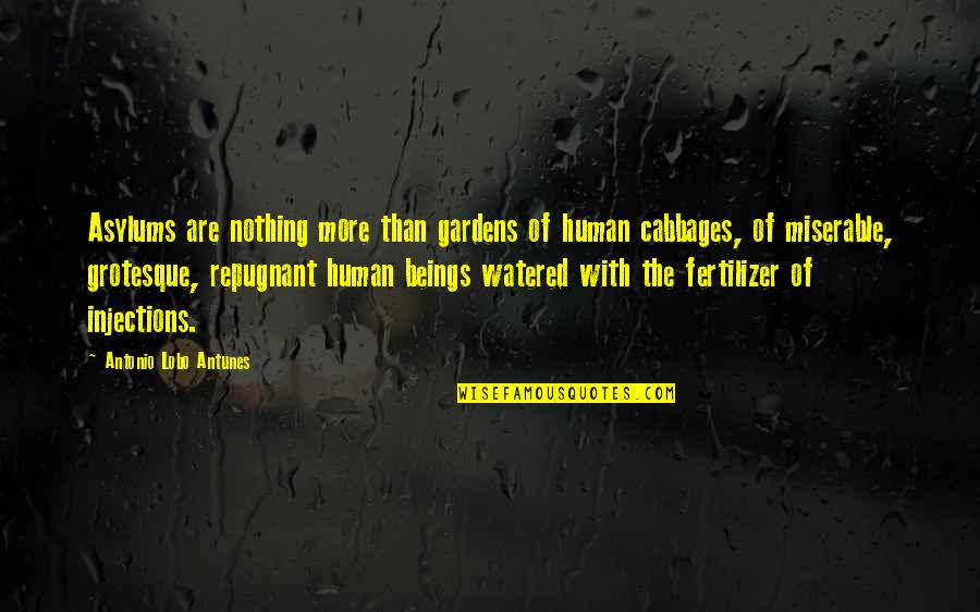 Alfven The Mountain Quotes By Antonio Lobo Antunes: Asylums are nothing more than gardens of human