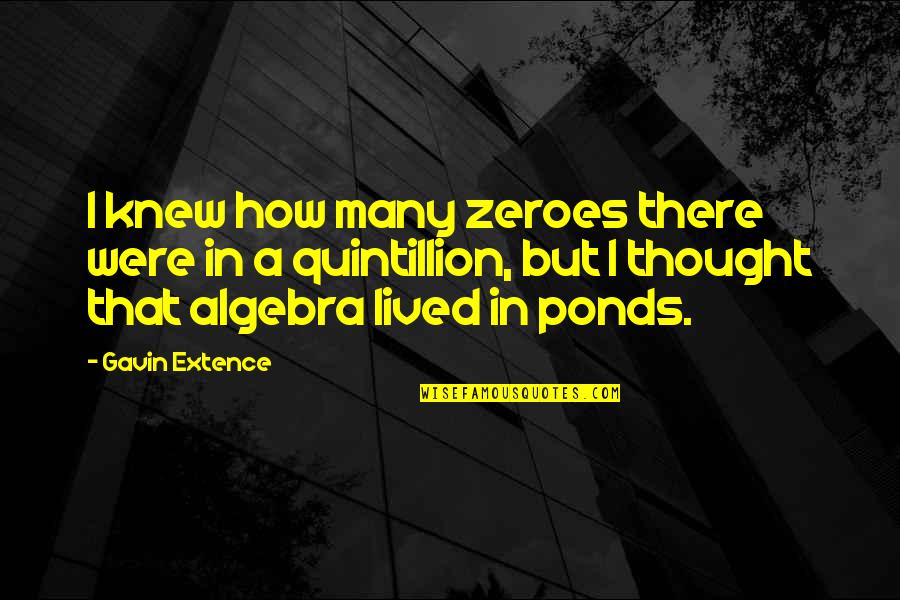 Algebra 2 Quotes By Gavin Extence: I knew how many zeroes there were in Algebra 2 Quotes By Gavin Extence: I knew how many zeroes there were in