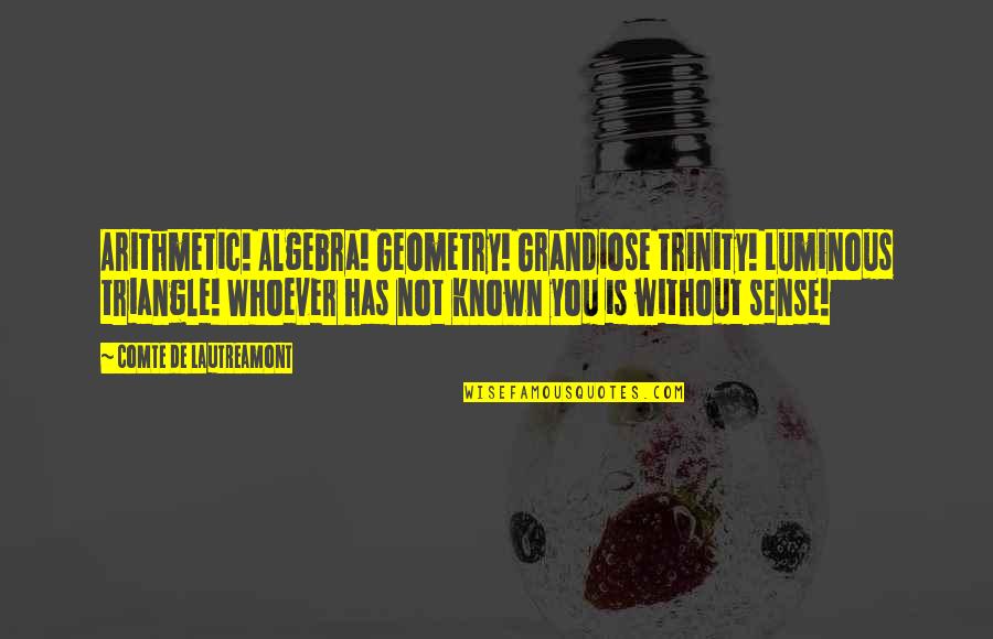 Algebra Best Quotes By Comte De Lautreamont: Arithmetic! Algebra! Geometry! Grandiose trinity! Luminous triangle! Whoever Algebra Best Quotes By Comte De Lautreamont: Arithmetic! Algebra! Geometry! Grandiose trinity! Luminous triangle! Whoever