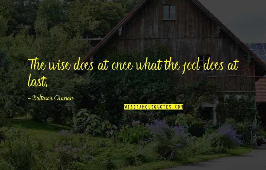 Algebraic Equations Quotes By Baltasar Gracian: The wise does at once what the fool Algebraic Equations Quotes By Baltasar Gracian: The wise does at once what the fool