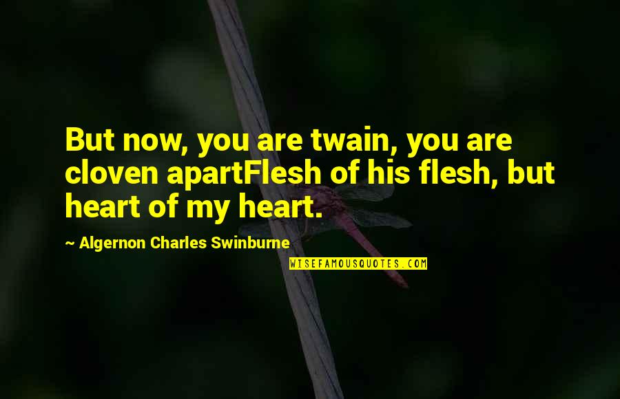 Algernon Swinburne Quotes By Algernon Charles Swinburne: But now, you are twain, you are cloven
