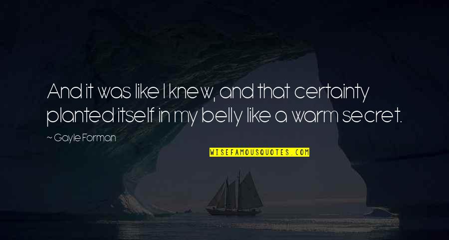 Algibeira Significado Quotes By Gayle Forman: And it was like I knew, and that