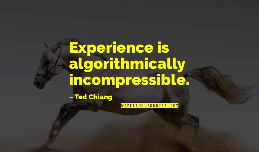 Algorithmically Quotes By Ted Chiang: Experience is algorithmically incompressible.