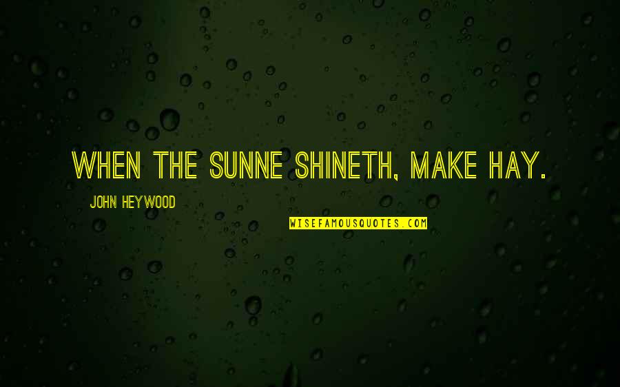 Ali Ahmeti Quotes By John Heywood: When the sunne shineth, make hay.