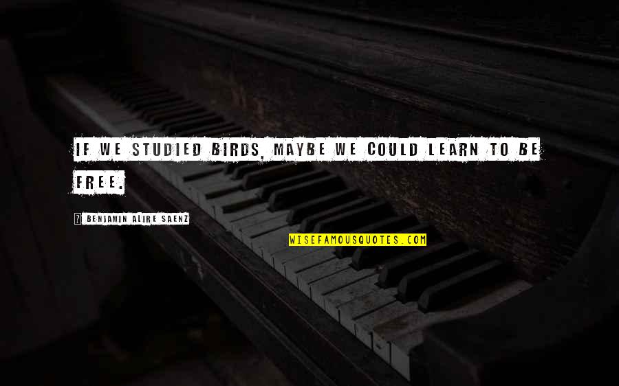 Ali And Nino Quotes By Benjamin Alire Saenz: If we studied birds, maybe we could learn Ali And Nino Quotes By Benjamin Alire Saenz: If we studied birds, maybe we could learn