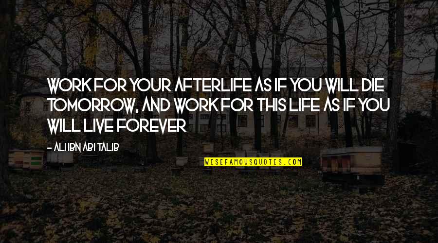 Ali As Quotes By Ali Ibn Abi Talib: Work for your afterlife as if you will