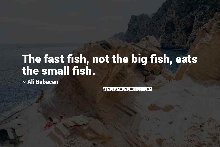 Ali Babacan quotes: The fast fish, not the big fish, eats the small fish.