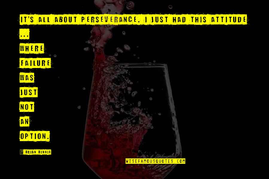 Ali Biography Book Quotes By Brian Binnie: It's all about perseverance. I just had this