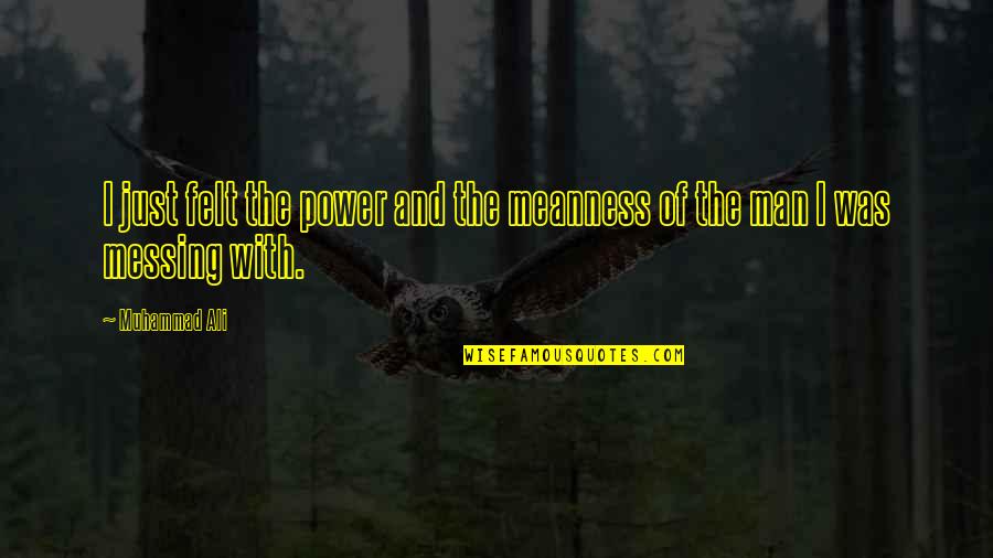 Ali Boxing Quotes By Muhammad Ali: I just felt the power and the meanness