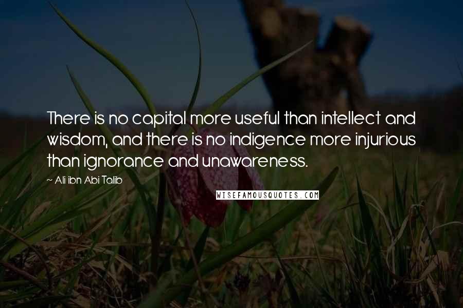 Ali Ibn Abi Talib quotes: There is no capital more useful than intellect and wisdom, and there is no indigence more injurious than ignorance and unawareness.