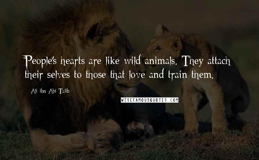 Ali Ibn Abi Talib quotes: People's hearts are like wild animals. They attach their selves to those that love and train them.