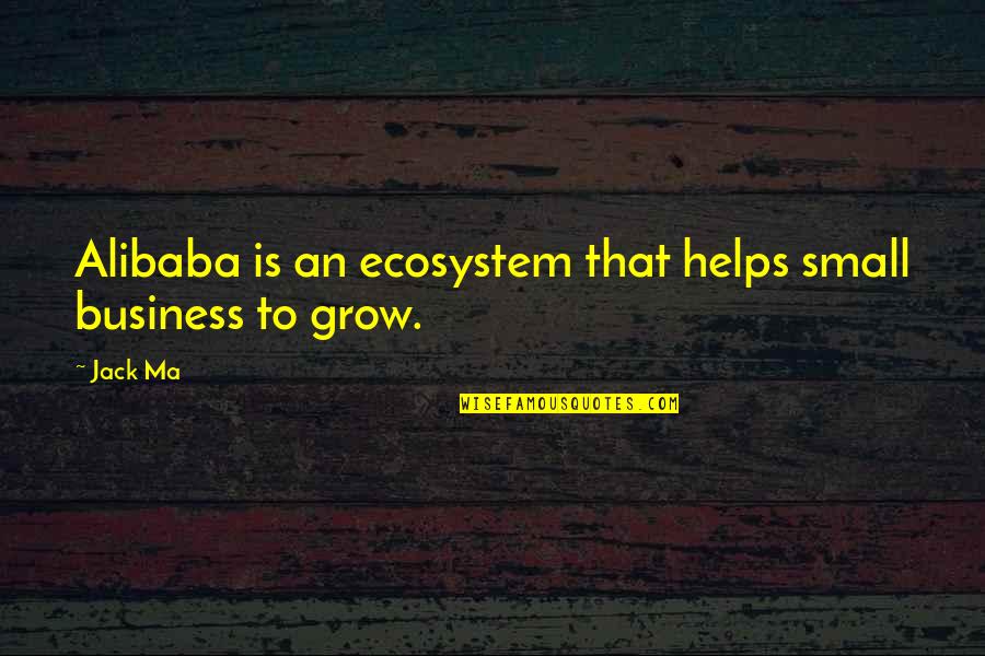 Alibaba Jack Ma Quotes By Jack Ma: Alibaba is an ecosystem that helps small business