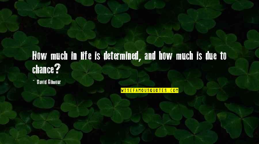 Alice Crazy Quotes By David Gilmour: How much in life is determined, and how