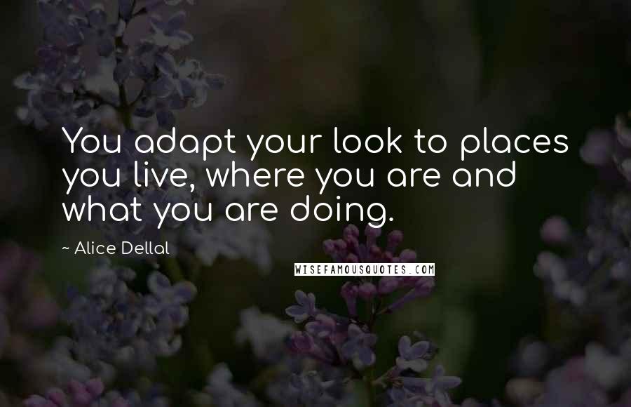 Alice Dellal quotes: You adapt your look to places you live, where you are and what you are doing.