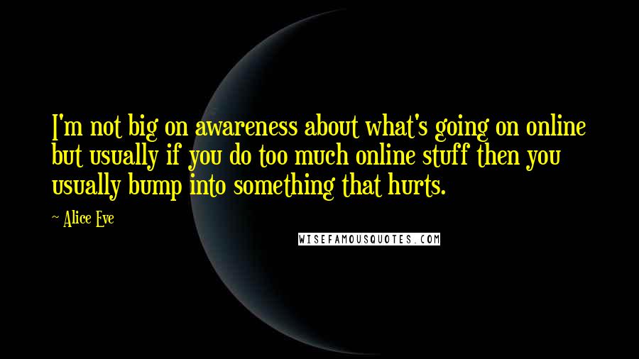 Alice Eve quotes: I'm not big on awareness about what's going on online but usually if you do too much online stuff then you usually bump into something that hurts.