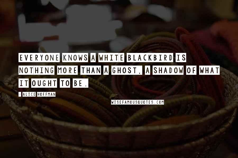 Alice Hoffman quotes: Everyone knows a white blackbird is nothing more than a ghost, a shadow of what it ought to be.