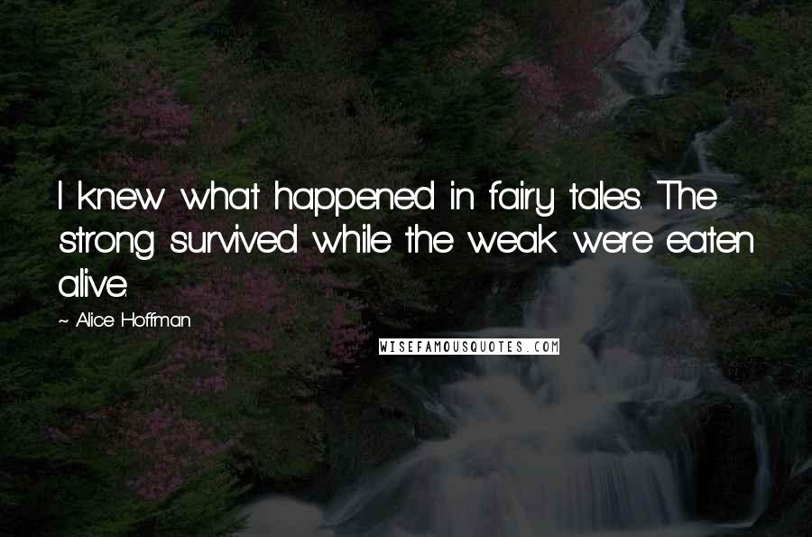 Alice Hoffman quotes: I knew what happened in fairy tales. The strong survived while the weak were eaten alive.