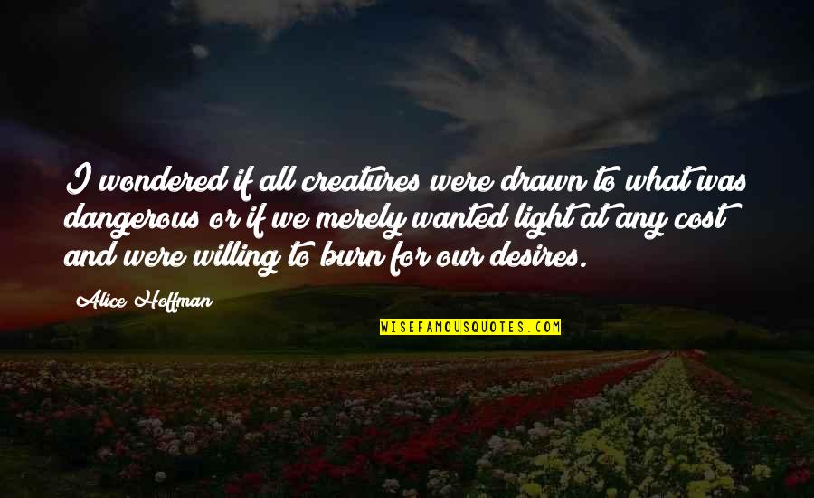 Alice Hoffman Quotes By Alice Hoffman: I wondered if all creatures were drawn to Alice Hoffman Quotes By Alice Hoffman: I wondered if all creatures were drawn to