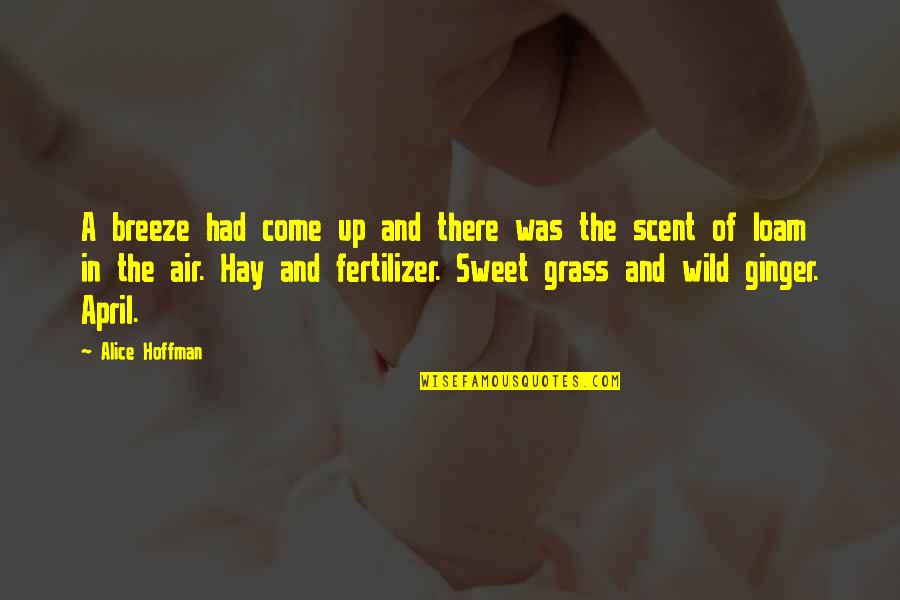 Alice Hoffman Quotes By Alice Hoffman: A breeze had come up and there was Alice Hoffman Quotes By Alice Hoffman: A breeze had come up and there was
