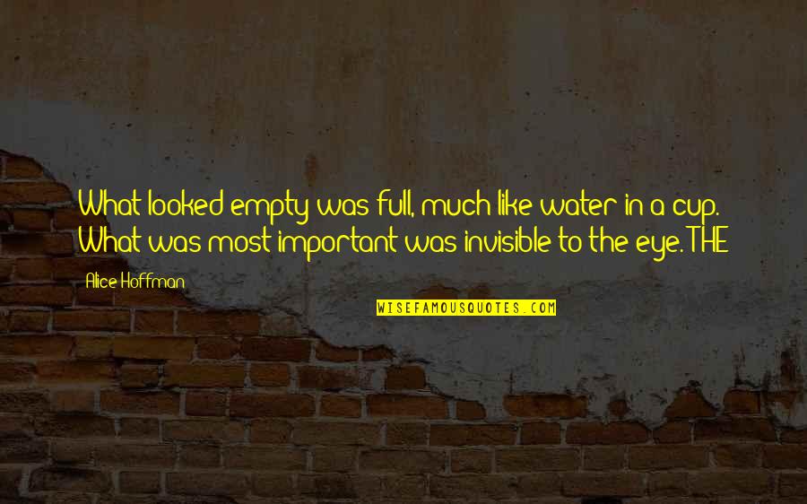 Alice Hoffman Quotes By Alice Hoffman: What looked empty was full, much like water Alice Hoffman Quotes By Alice Hoffman: What looked empty was full, much like water