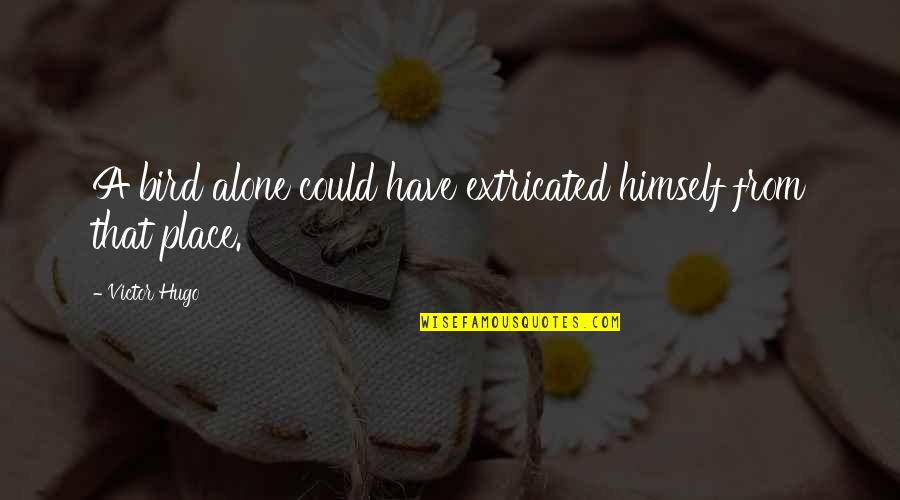 Alice Koller Quotes By Victor Hugo: A bird alone could have extricated himself from