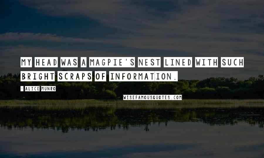 Alice Munro quotes: My head was a magpie's nest lined with such bright scraps of information.