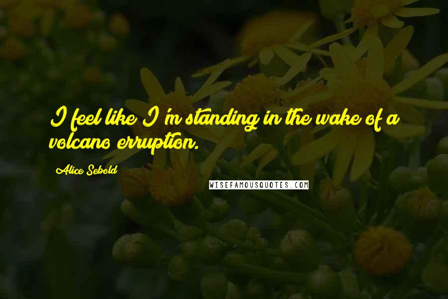 Alice Sebold quotes: I feel like I'm standing in the wake of a volcano erruption.