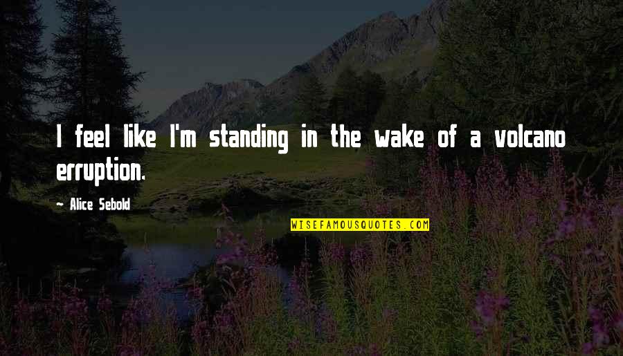 Alice Sebold Quotes By Alice Sebold: I feel like I'm standing in the wake Alice Sebold Quotes By Alice Sebold: I feel like I'm standing in the wake