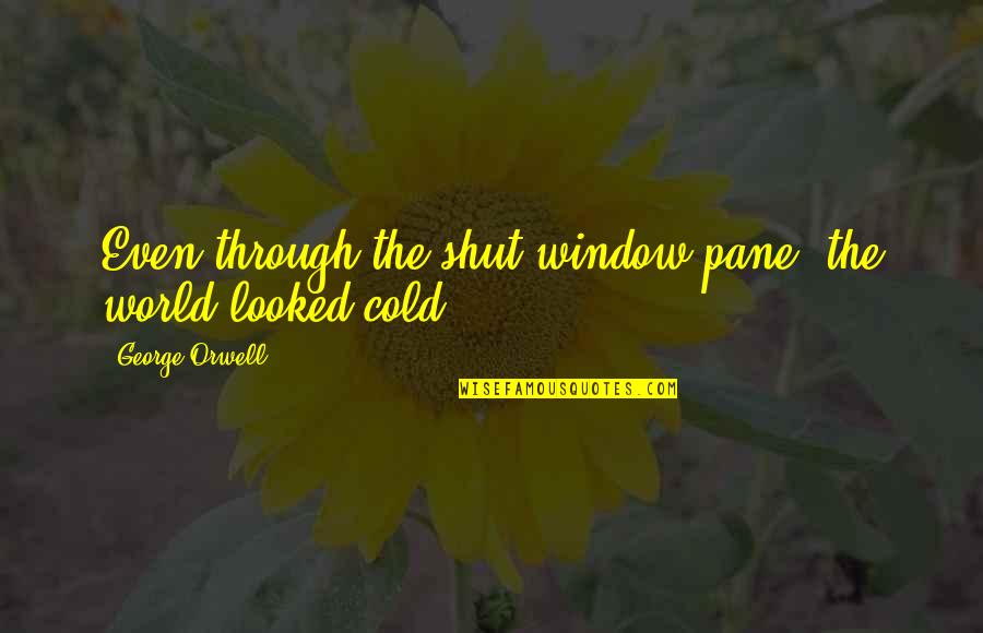 Alice Sommer Quotes By George Orwell: Even through the shut window pane, the world