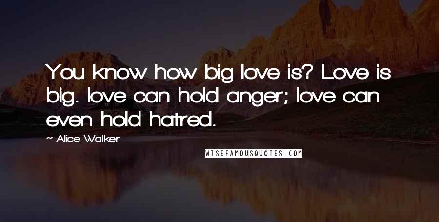 Alice Walker quotes: You know how big love is? Love is big. love can hold anger; love can even hold hatred.