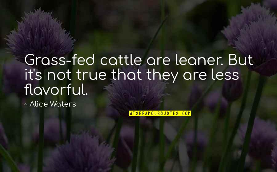 Alice Waters Quotes By Alice Waters: Grass-fed cattle are leaner. But it's not true