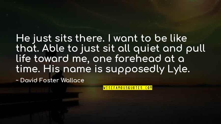 Alicia Appleman-jurman Quotes By David Foster Wallace: He just sits there. I want to be