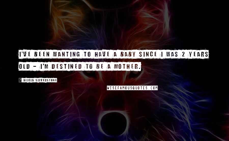 Alicia Silverstone quotes: I've been wanting to have a baby since I was 2 years old - I'm destined to be a mother.