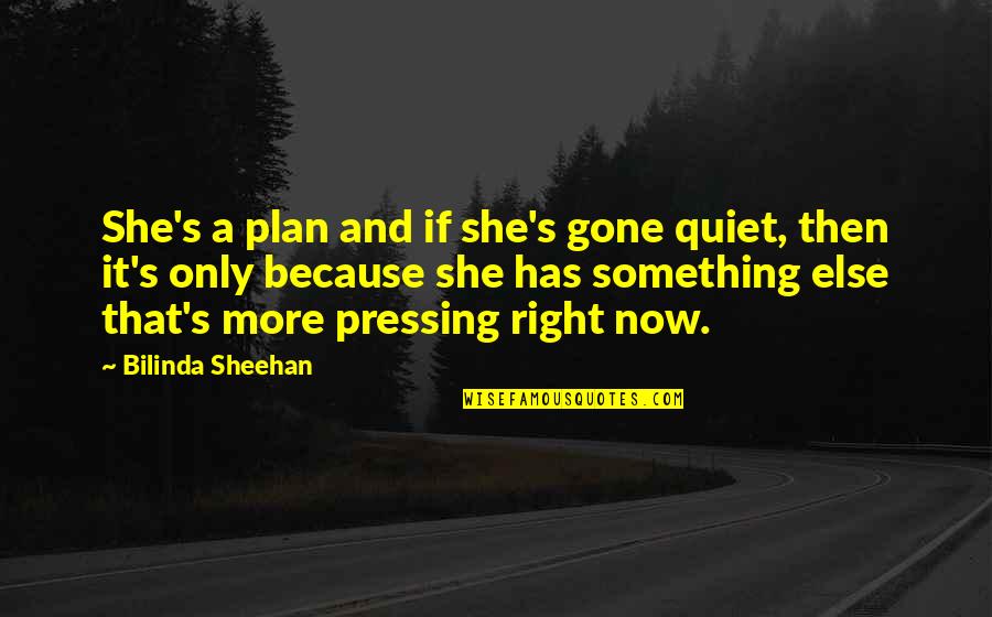 Alien Contact Quotes By Bilinda Sheehan: She's a plan and if she's gone quiet,