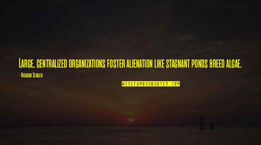 Alienation's Quotes By Ricardo Semler: Large, centralized organizations foster alienation like stagnant ponds